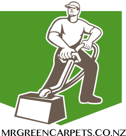 Carpet & Upholstery Cleaning Wellington | Mrgreencarpets